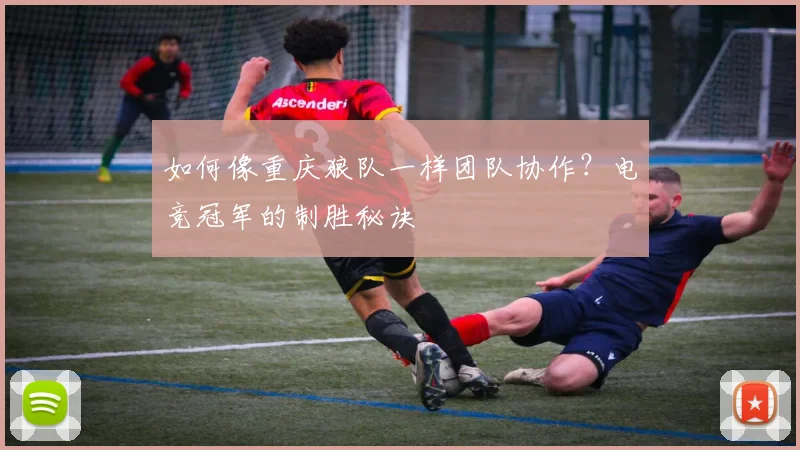 如何像重庆狼队一样团队协作？电竞冠军的制胜秘诀