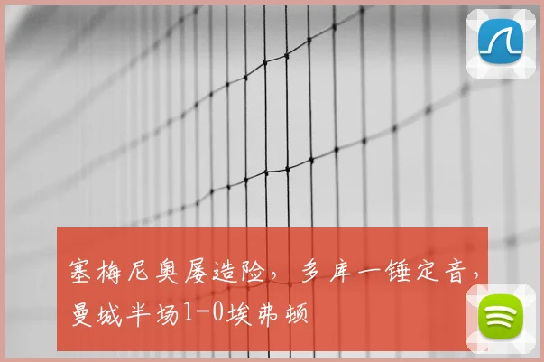 塞梅尼奥屡造险,多库一锤定音,曼城半场1-0埃弗顿