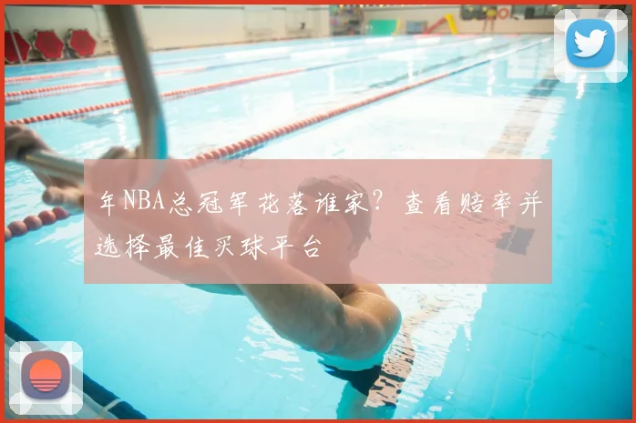年NBA总冠军花落谁家?查看赔率并选择最佳买球平台