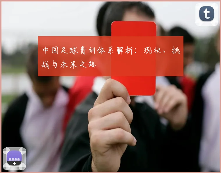 中国足球青训体系解析:现状、挑战与未来之路